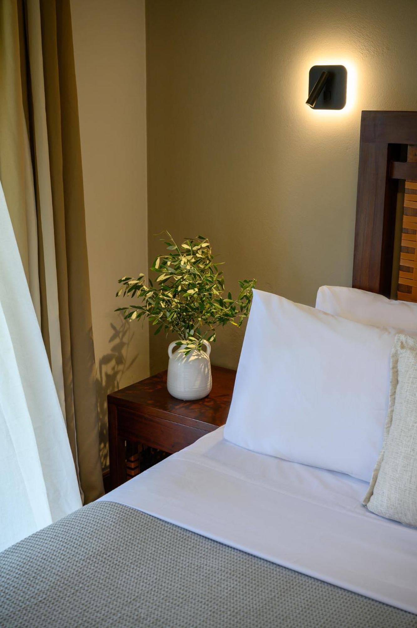 Elisso Boutique Hotel Vasiliki  Exterior photo